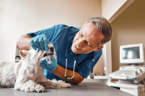 Best Pediatric Emergency Dentist in Fairhope, AL